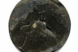 Polished Septarian Geode Sphere - Madagascar #145262-2